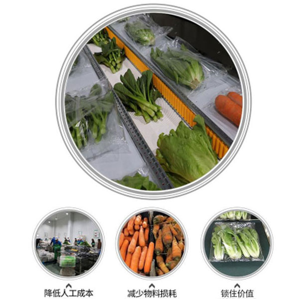 全自動果蔬包裝機