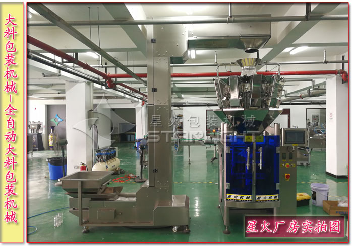 大料包裝機械-全自動大料包裝機械